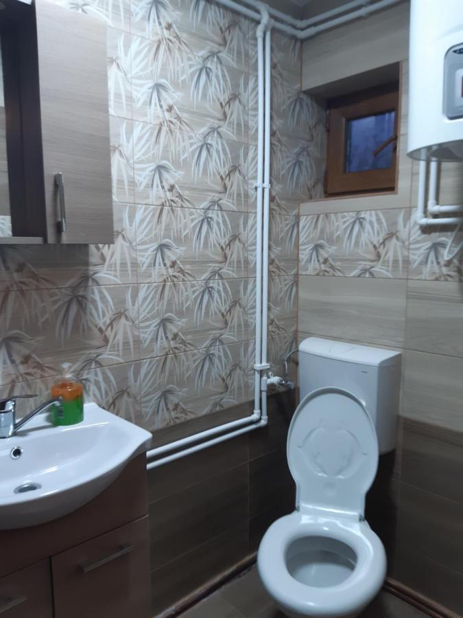 Cabana Gabriela Гырда-де-Сус Экстерьер фото